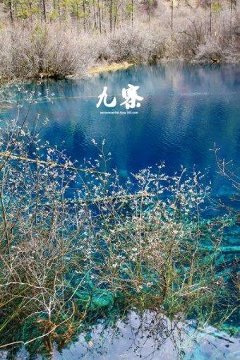 旋筒风帆助大型船舶驶向绿色低碳